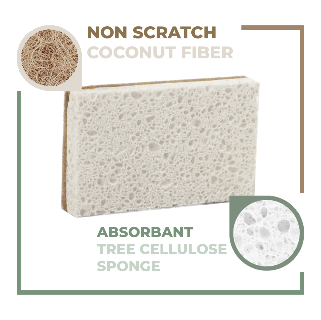 10 Pack Eco Friendly Bio Sponges