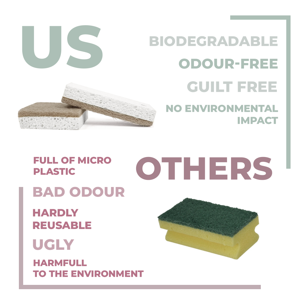 10 Pack Eco Friendly Bio Sponges