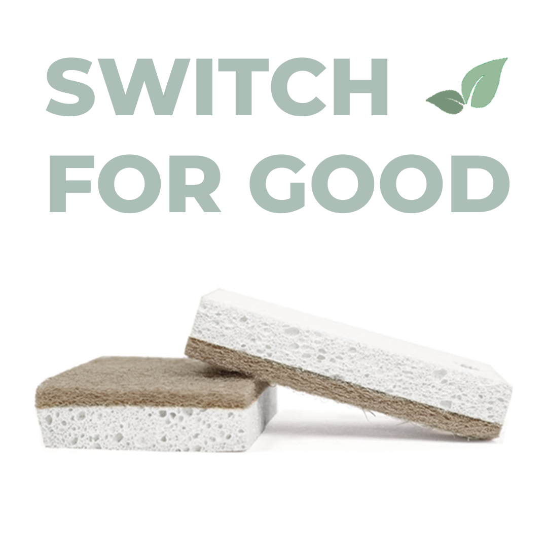 10 Pack Eco Friendly Bio Sponges