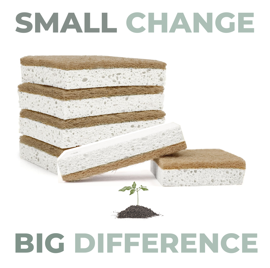 10 Pack Eco Friendly Bio Sponges